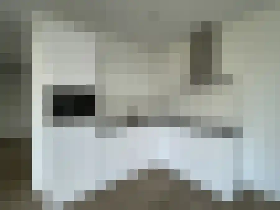 IJsselmeerstraat 44 Den Helder thumbnail 6