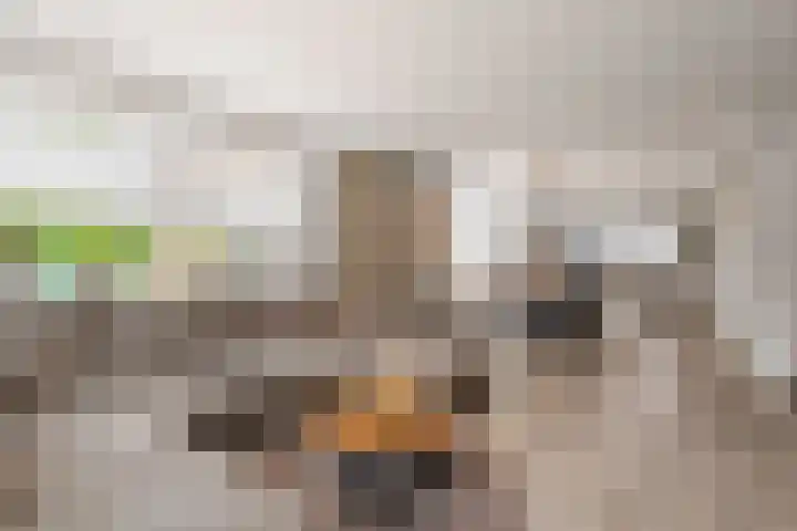 IJsselmeerstraat 6 Den Oever thumbnail 10