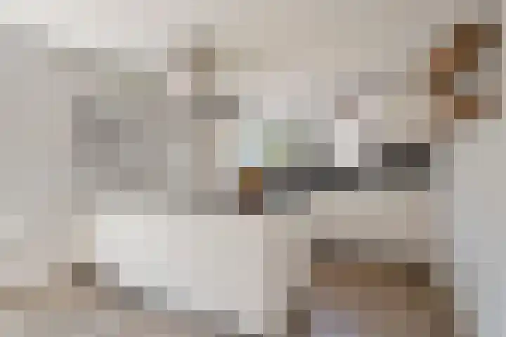 IJsselmeerstraat 6 Den Oever thumbnail 13