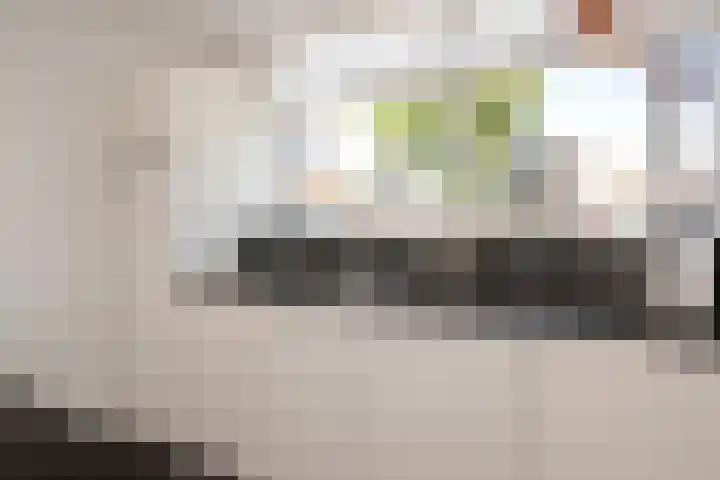 IJsselmeerstraat 6 Den Oever thumbnail 16