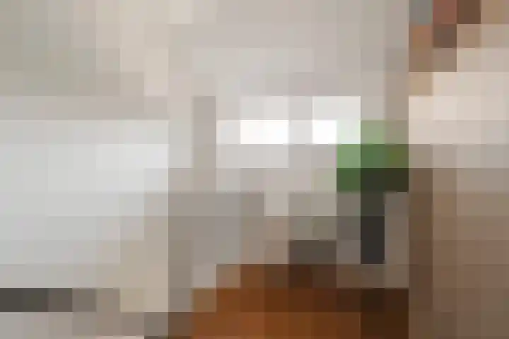 IJsselmeerstraat 6 Den Oever thumbnail 31