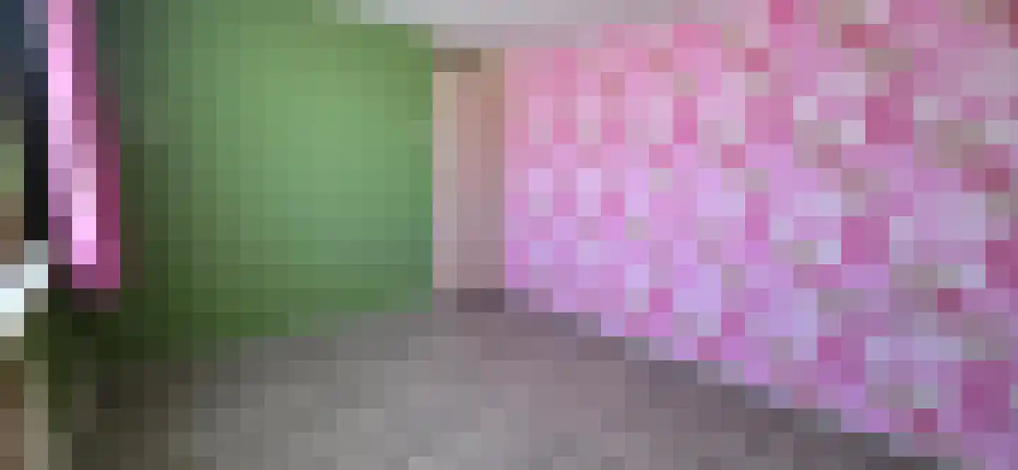 IJsselmeerstraat 7 Den Oever thumbnail 13
