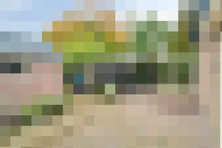 IJsselmeerweg 25 Elburg thumbnail 37