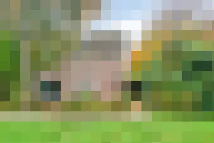 IJsselmeerweg 25 Elburg thumbnail 6