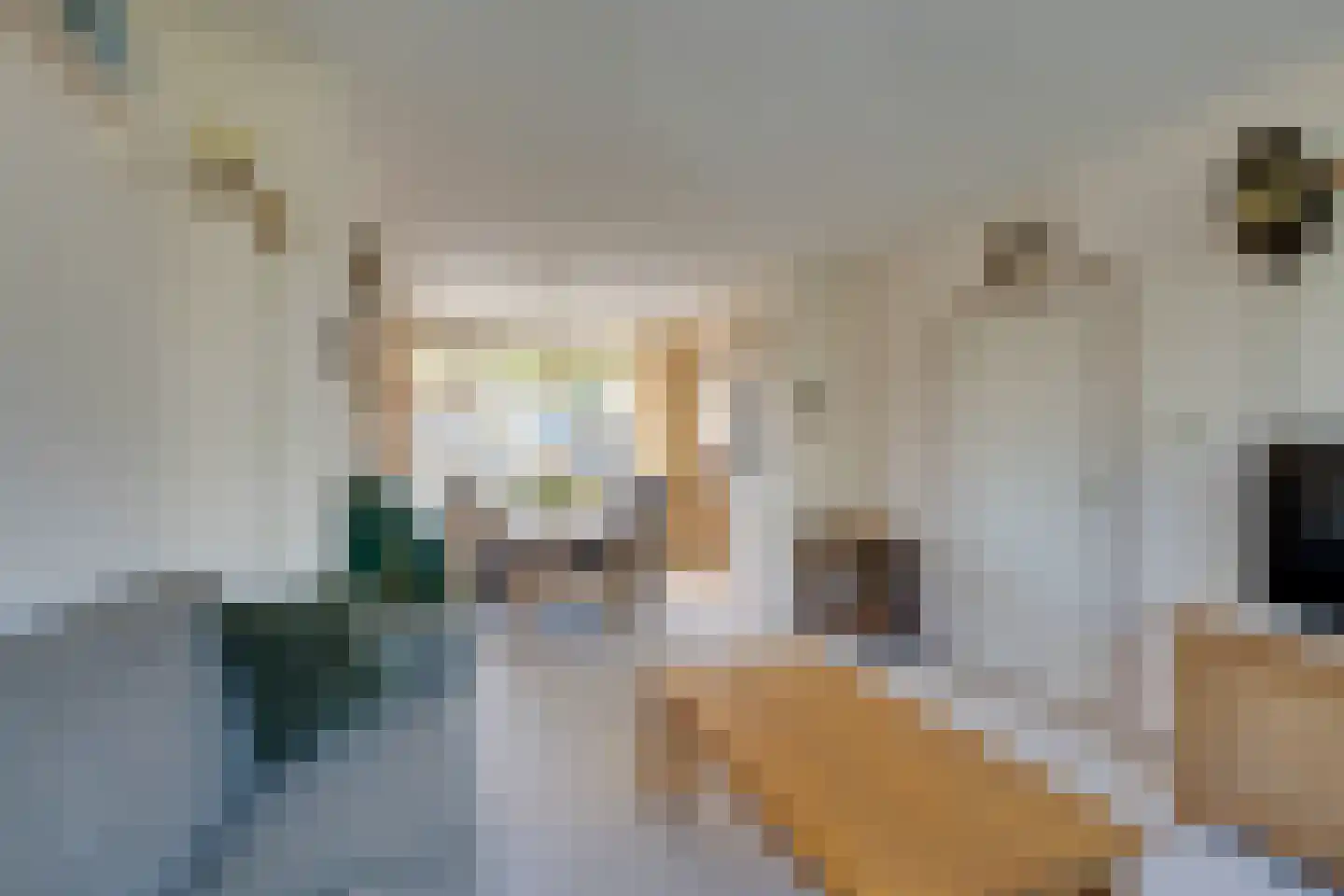IJsselmeerweg 29 Marken thumbnail 17