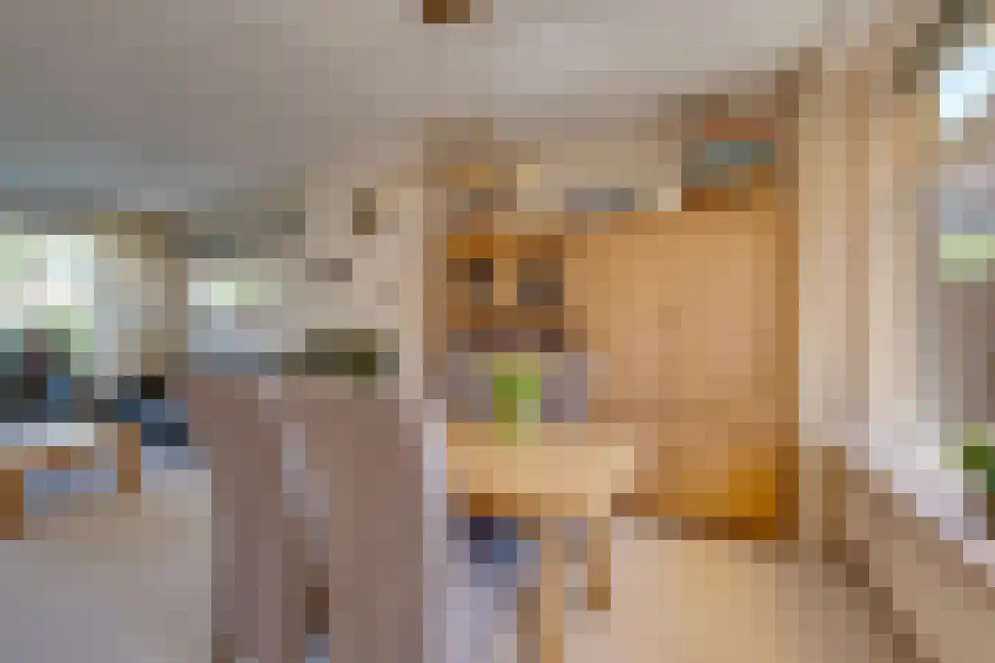 IJsselmeerweg 29 Marken thumbnail 18