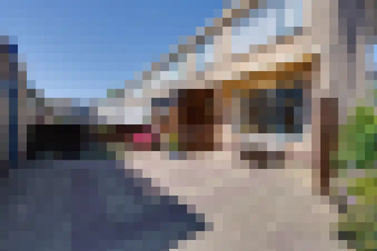 IJsselmeerweg 29 Marken thumbnail 31