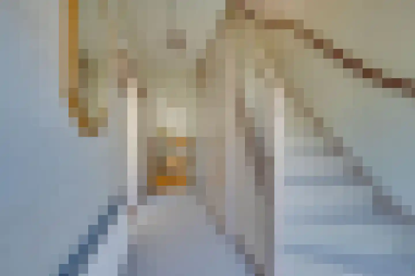IJsselmeerweg 29 Marken thumbnail 9