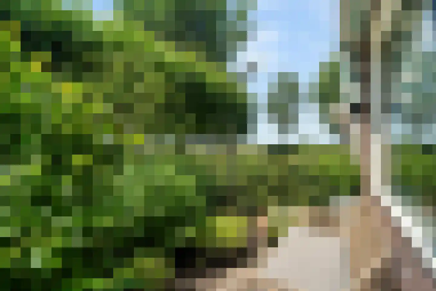 IJsselmeerweg 34 Elburg thumbnail 37
