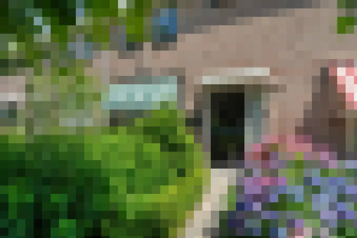 IJsselmeerweg 34 Elburg thumbnail 5