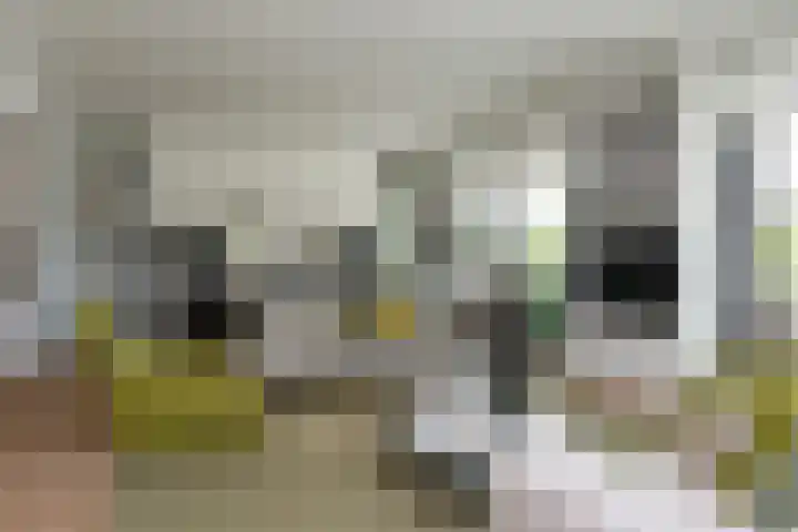 IJsselmeerweg 67 Naarden thumbnail 10