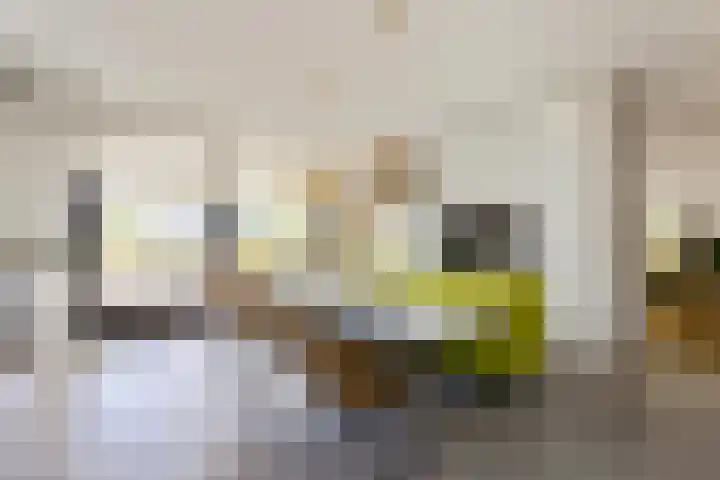 IJsselmeerweg 67 Naarden thumbnail 14