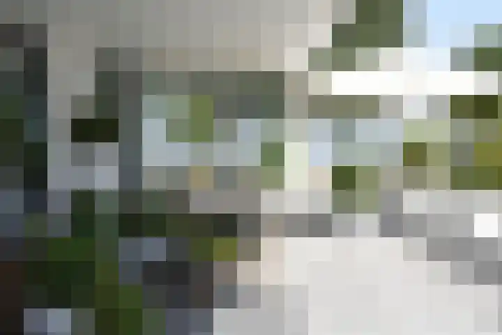 IJsselmeerweg 67 Naarden thumbnail 27