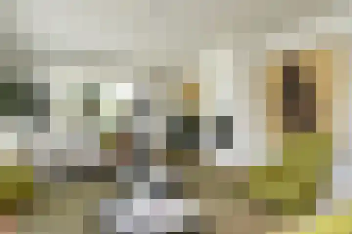 IJsselmeerweg 67 Naarden thumbnail 8