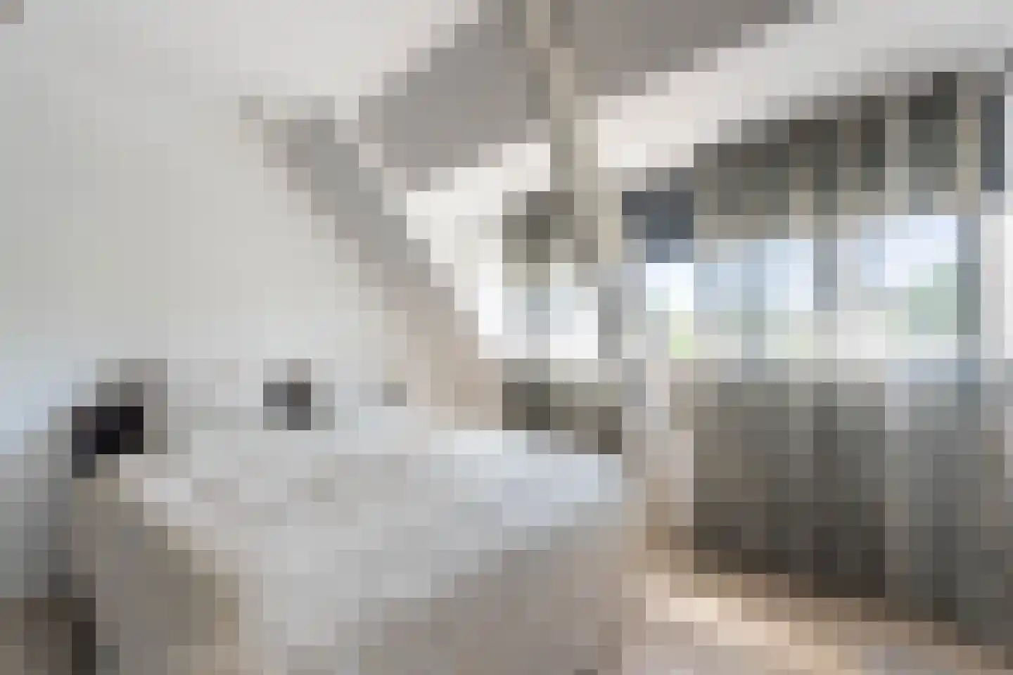IJsselmondselaan 144 Rotterdam thumbnail 7