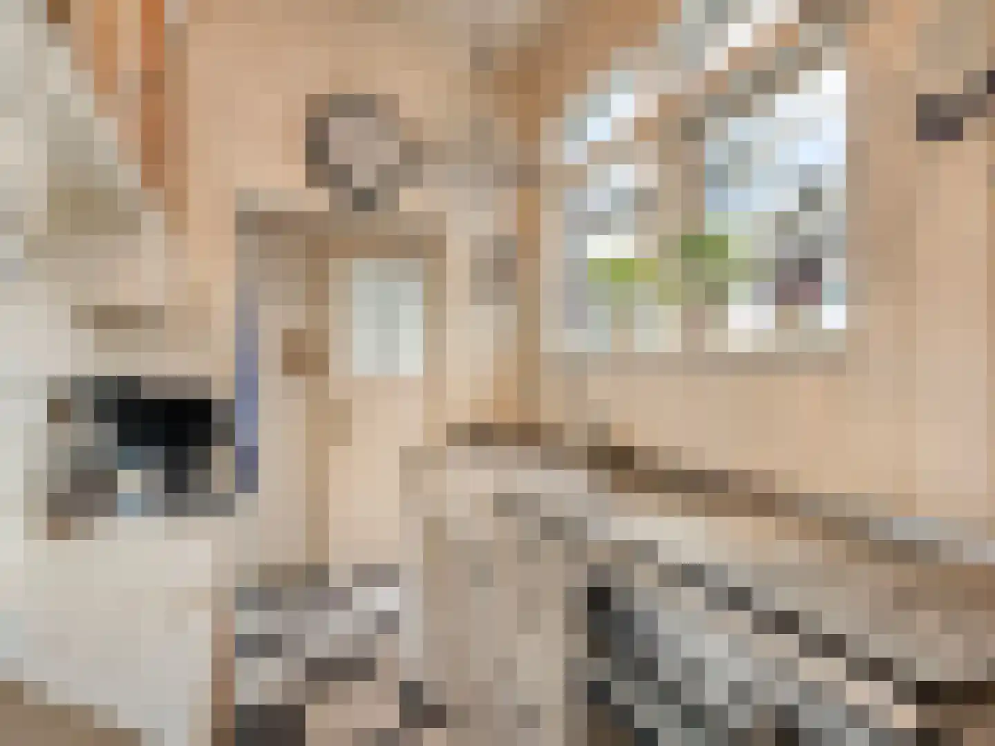 IJsselmondselaan 150 Rotterdam thumbnail 13