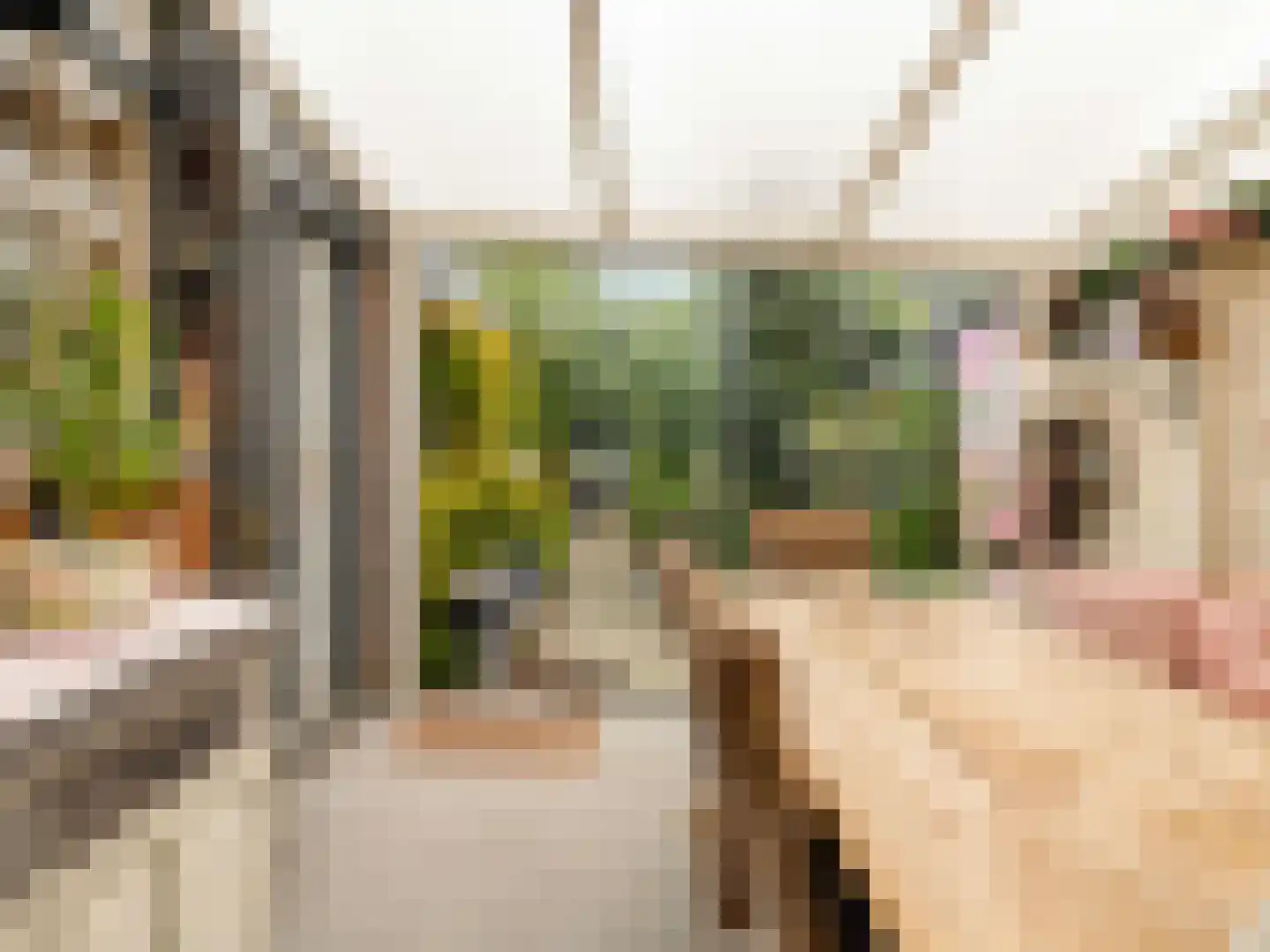 IJsselmondselaan 150 Rotterdam thumbnail 16