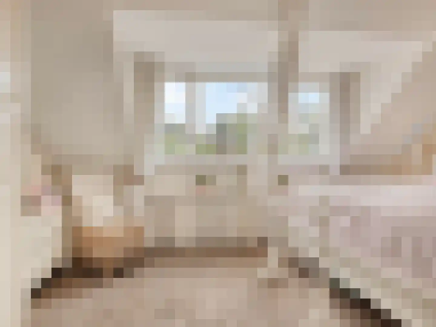 IJsselmondselaan 150 Rotterdam thumbnail 19