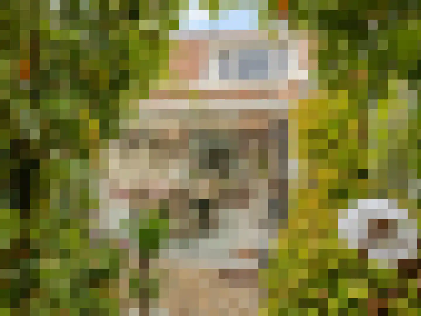 IJsselmondselaan 150 Rotterdam thumbnail 28