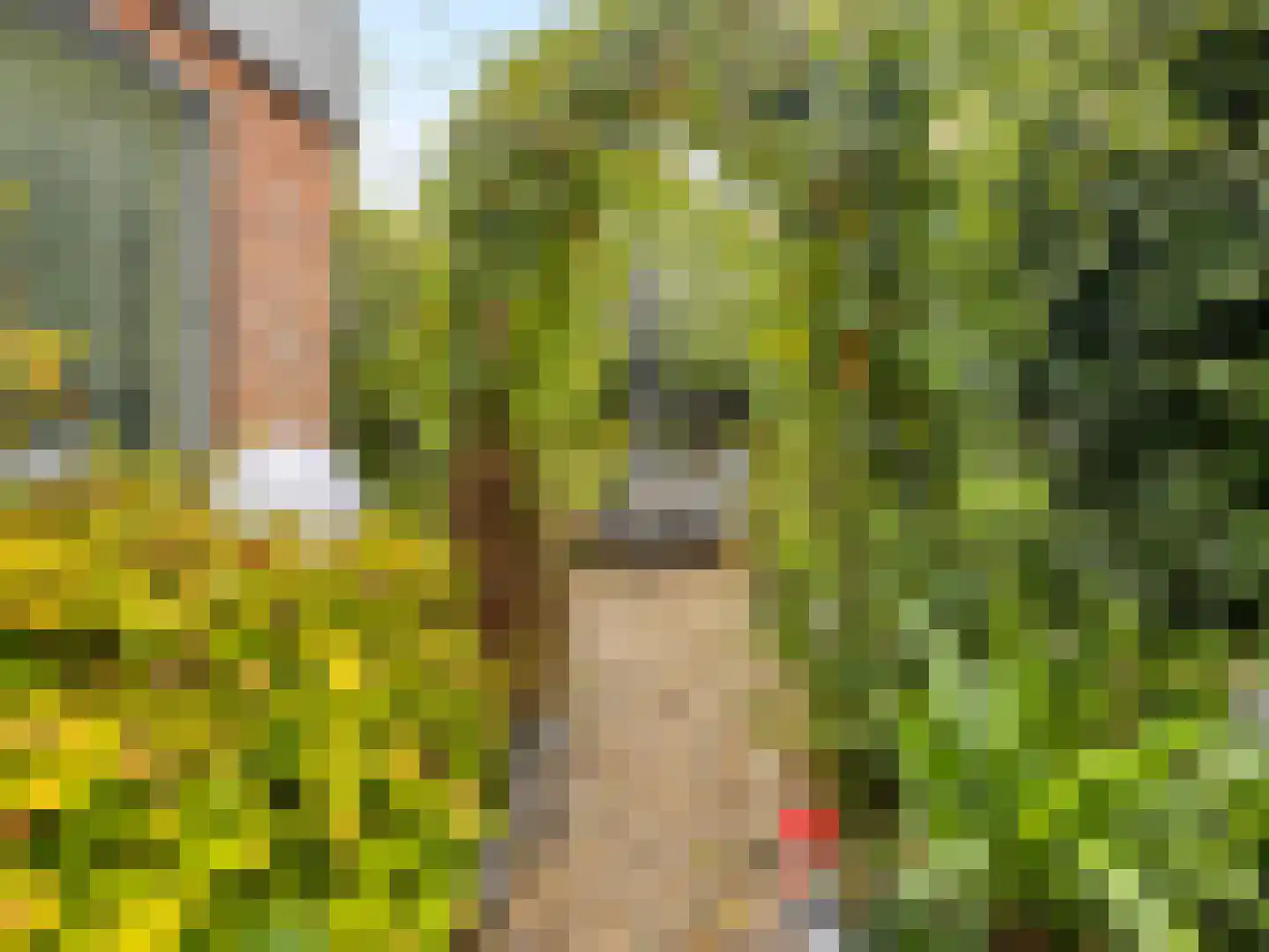 IJsselmondselaan 150 Rotterdam thumbnail 29