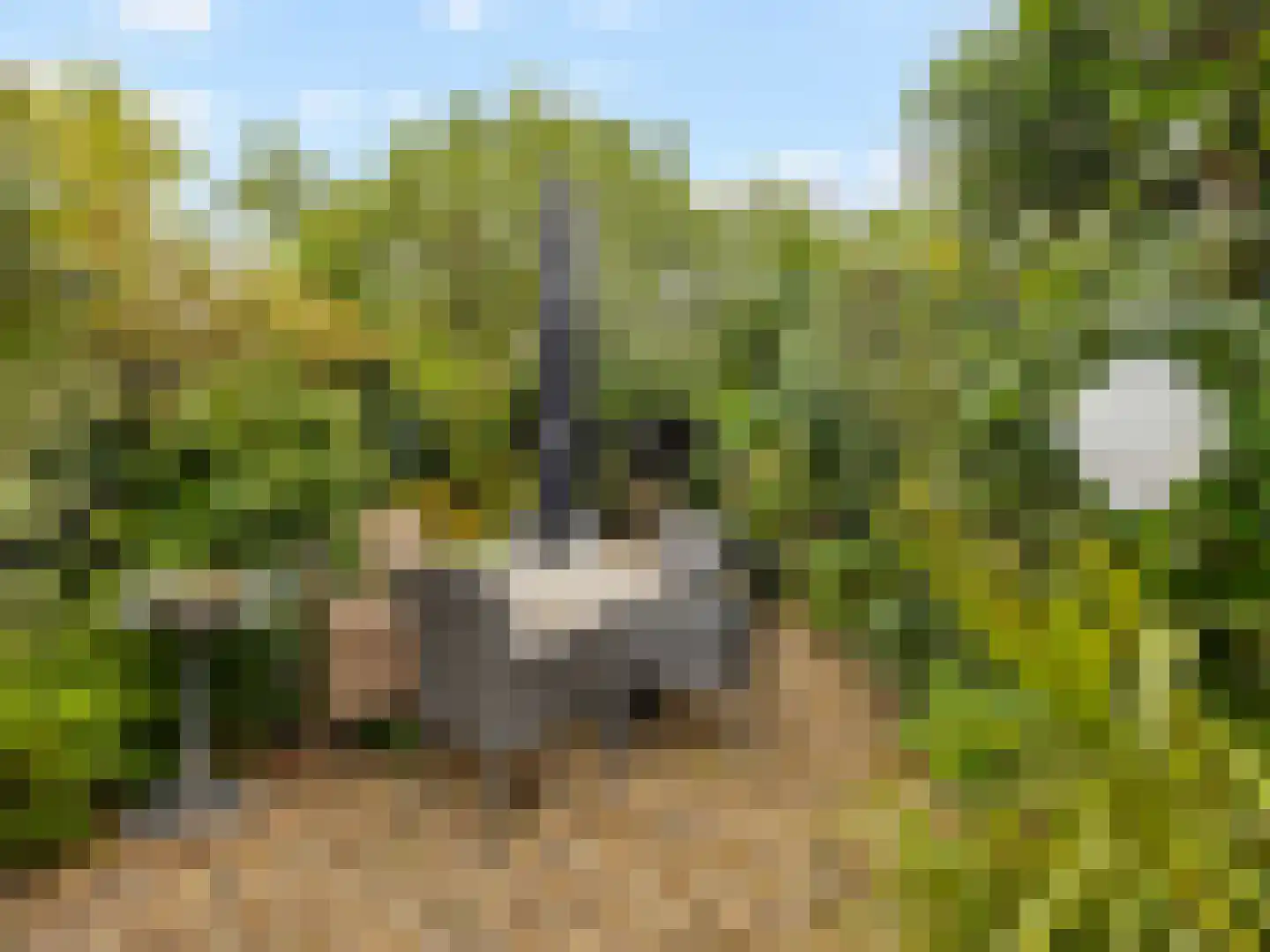 IJsselmondselaan 150 Rotterdam thumbnail 30