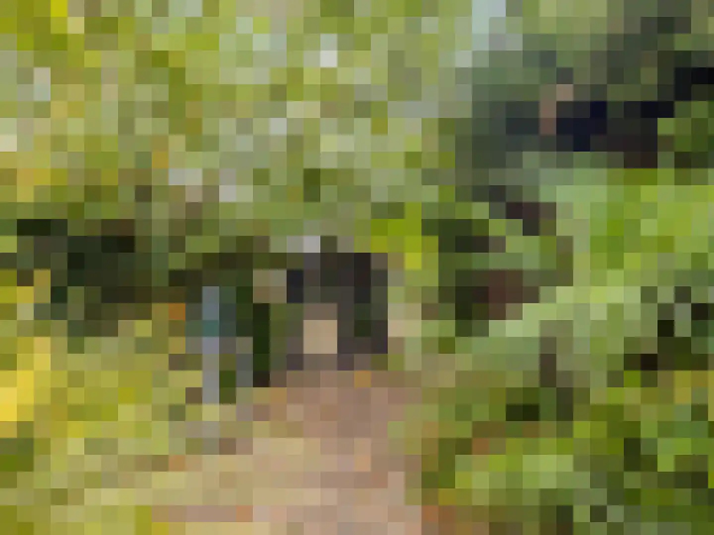 IJsselmondselaan 150 Rotterdam thumbnail 32