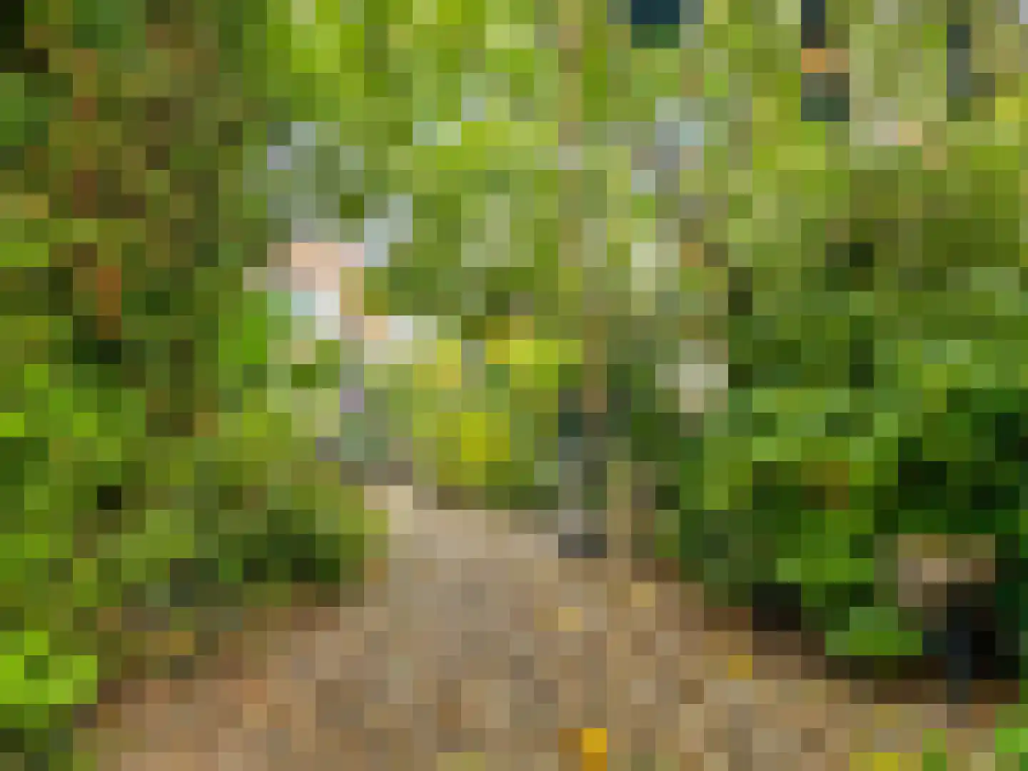 IJsselmondselaan 150 Rotterdam thumbnail 34