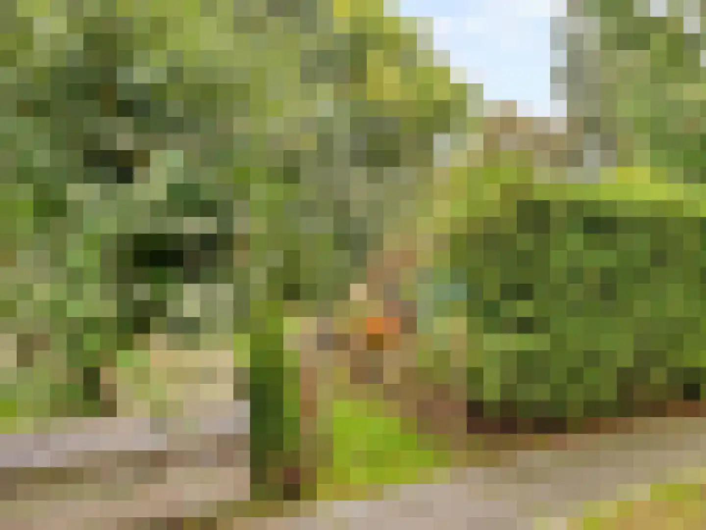 IJsselmondselaan 150 Rotterdam thumbnail 36
