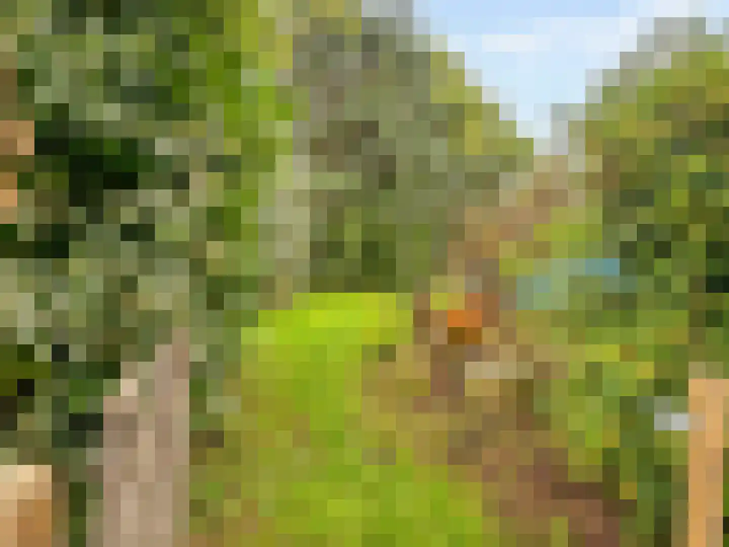 IJsselmondselaan 150 Rotterdam thumbnail 39