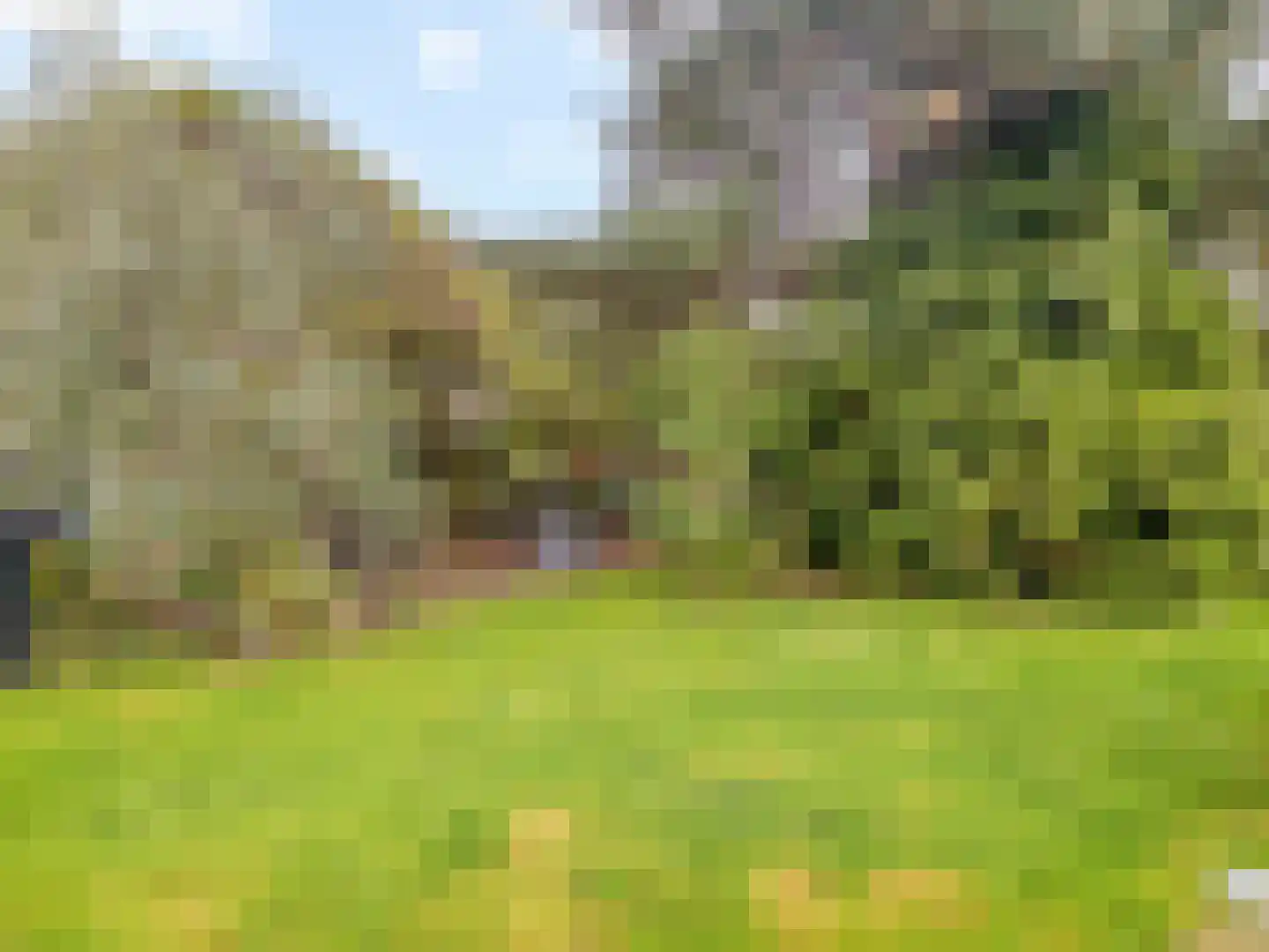 IJsselmondselaan 150 Rotterdam thumbnail 40