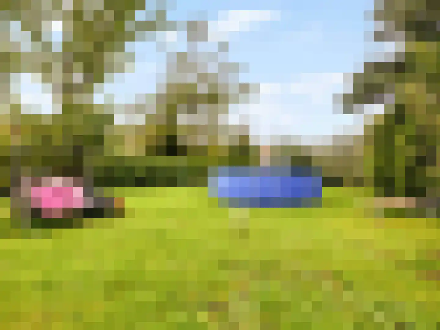 IJsselmondselaan 150 Rotterdam thumbnail 44