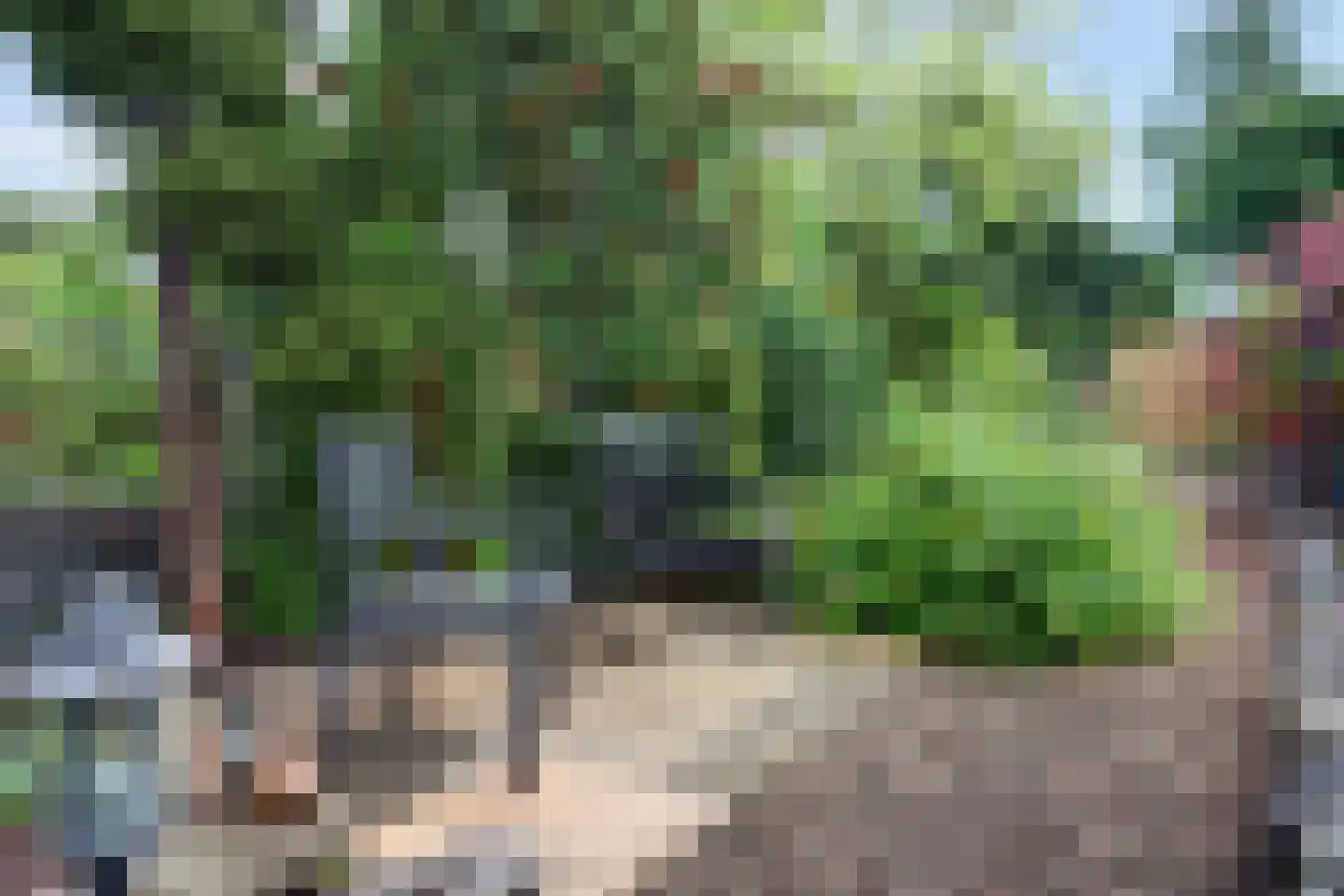 IJsselmondselaan 164 Rotterdam thumbnail 41