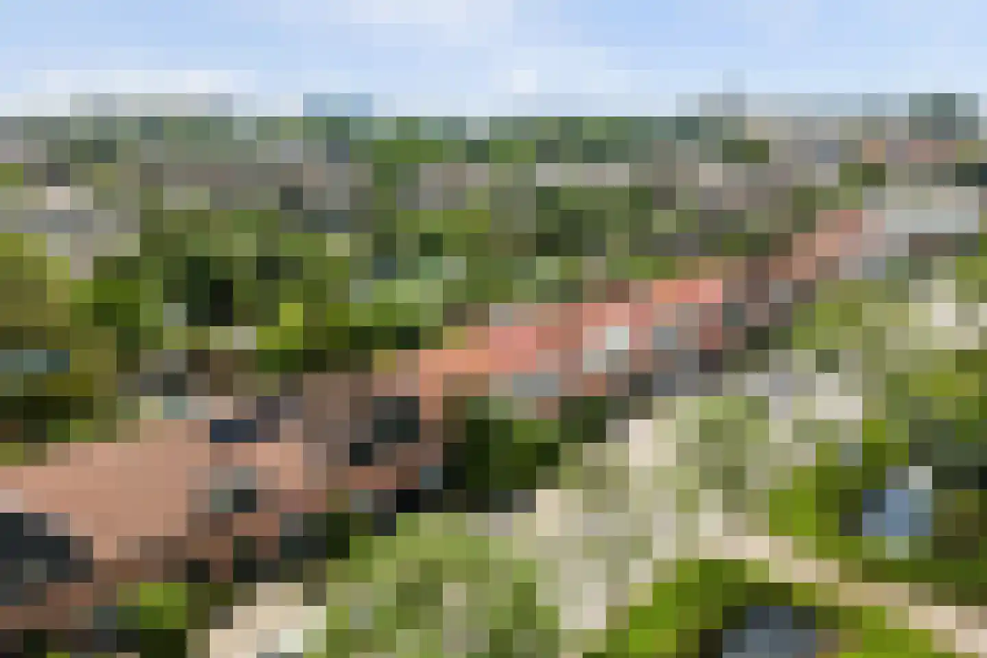 IJsselmondselaan 164 Rotterdam thumbnail 51