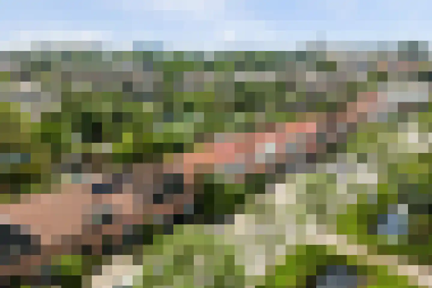 IJsselmondselaan 164 Rotterdam thumbnail 52