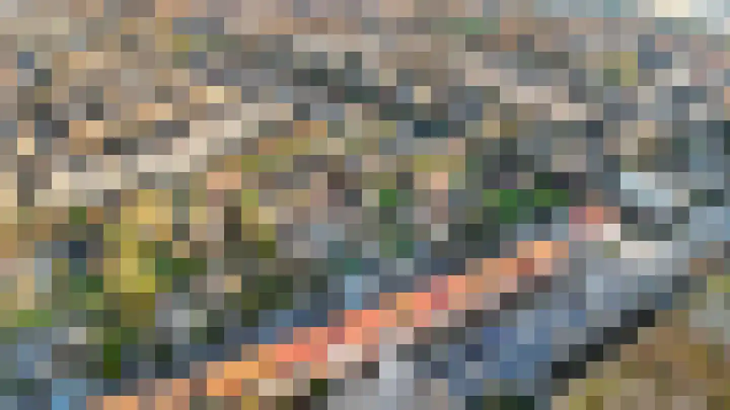IJsselmondselaan 170 Rotterdam thumbnail 50