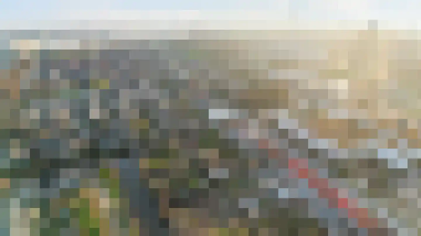 IJsselmondselaan 170 Rotterdam thumbnail 52