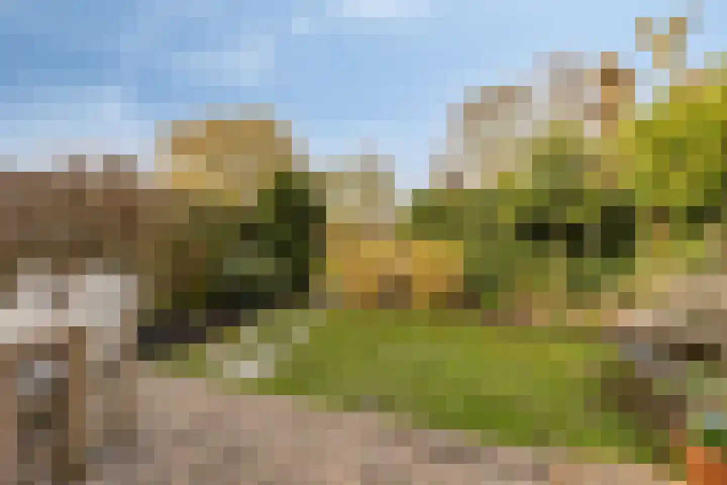 IJsselmondselaan 185 A Rotterdam thumbnail 4