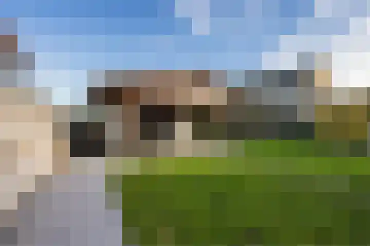 IJsselmondselaan 192 Rotterdam thumbnail 54
