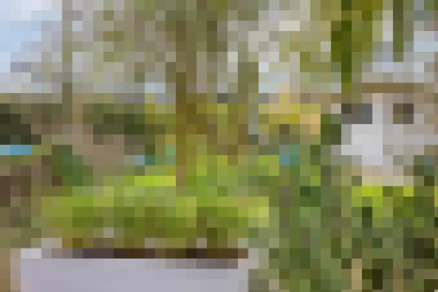 IJsselmondselaan 195 B Rotterdam thumbnail 33