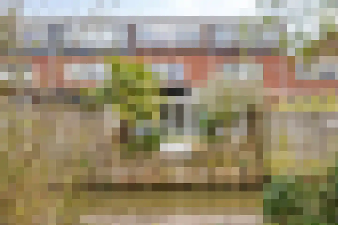 IJsselmondselaan 195 B Rotterdam thumbnail 34
