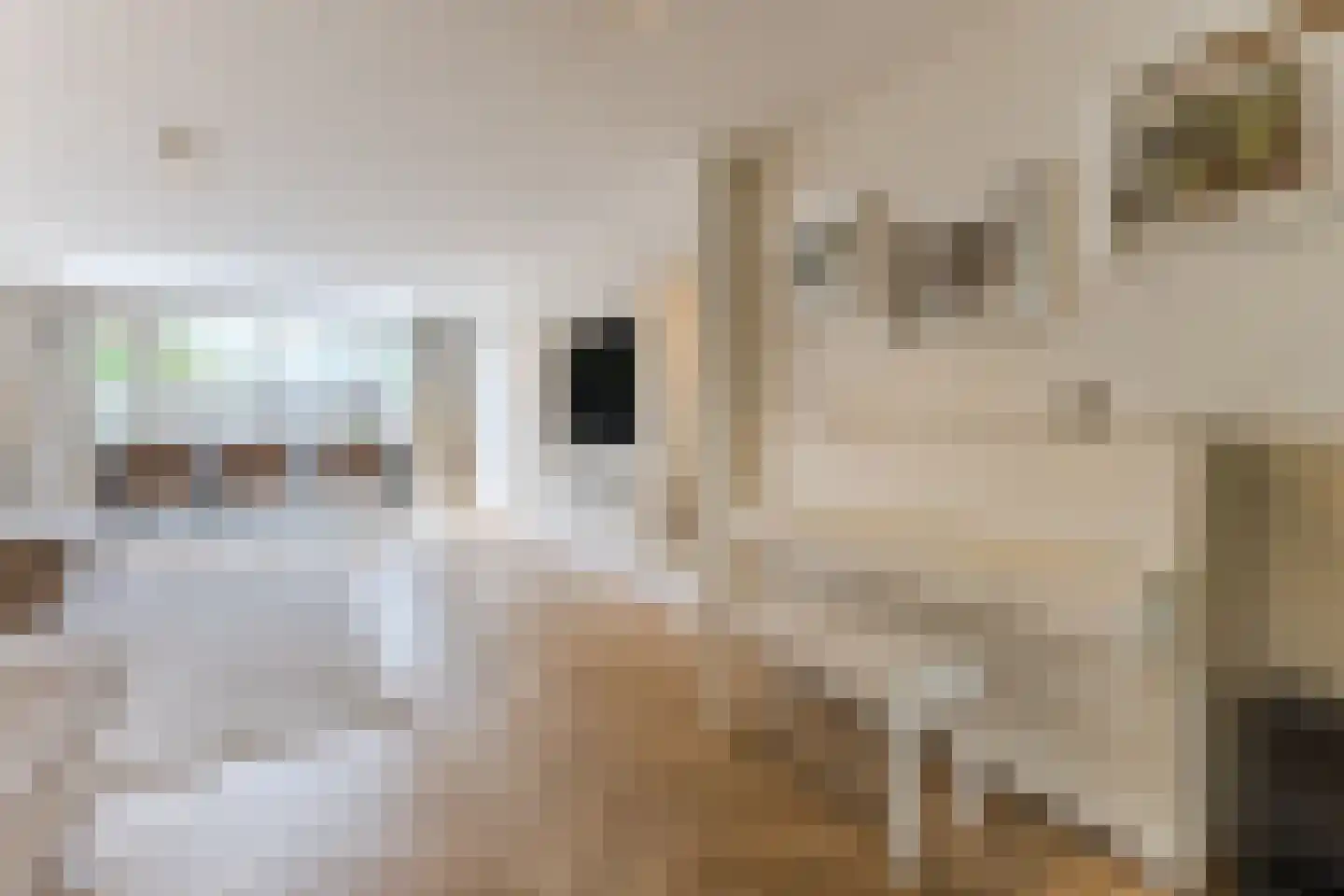 IJsselmondselaan 201 A Rotterdam thumbnail 5