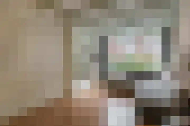 IJsselmondselaan 220 Rotterdam thumbnail 10