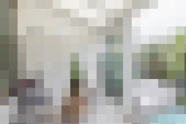 IJsselmondselaan 220 Rotterdam thumbnail 19