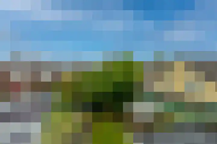 IJsselmondselaan 220 Rotterdam thumbnail 25