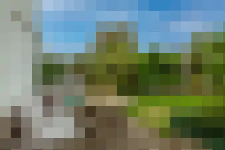 IJsselmondselaan 220 Rotterdam thumbnail 33
