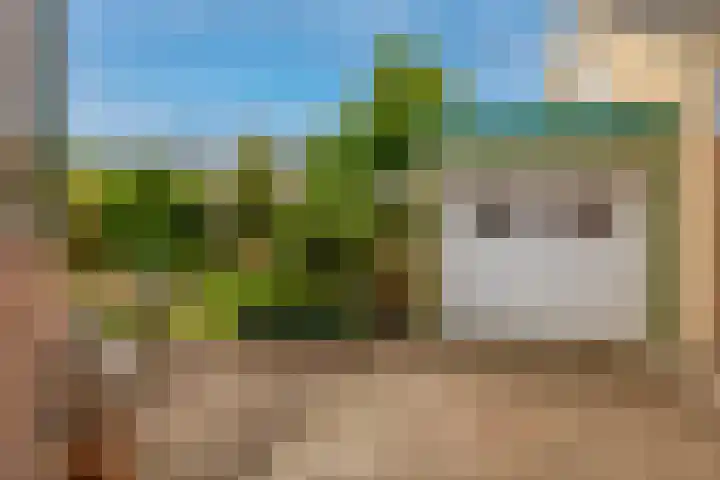 IJsselmondselaan 220 Rotterdam thumbnail 34