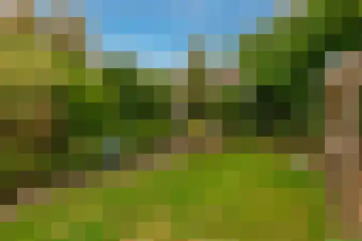 IJsselmondselaan 220 Rotterdam thumbnail 35