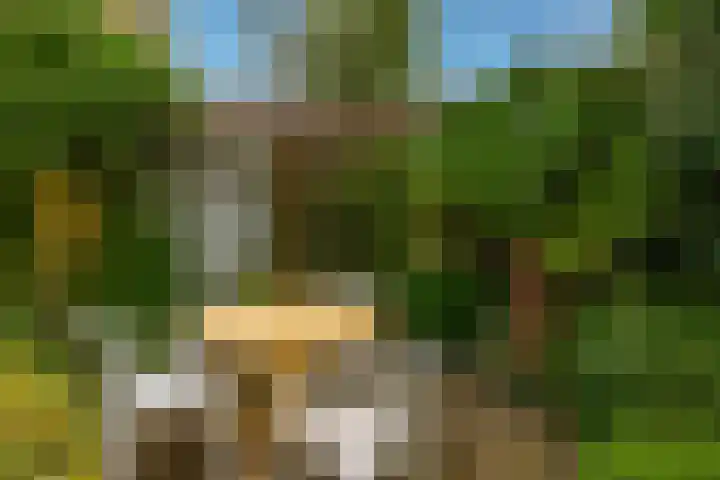 IJsselmondselaan 220 Rotterdam thumbnail 36