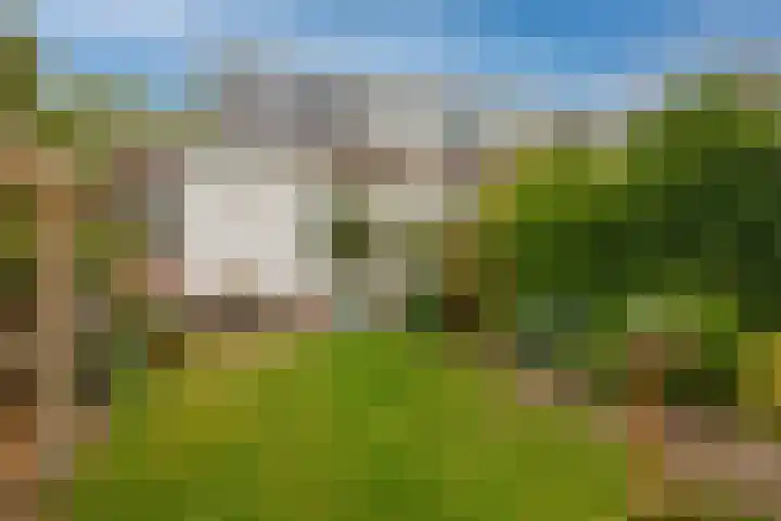 IJsselmondselaan 220 Rotterdam thumbnail 37
