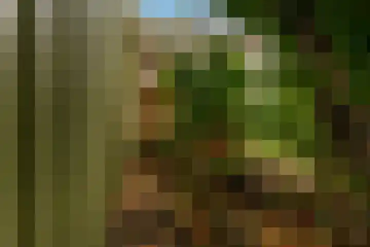 IJsselmondselaan 220 Rotterdam thumbnail 41